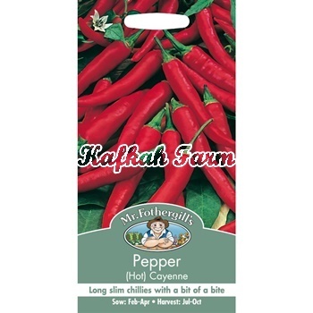 Benih 5 Biji PEPPER Hot De Cayenne