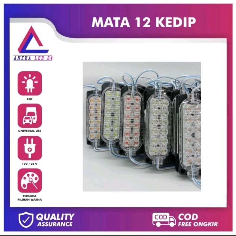 LAMPU LED MODUL 12 MATA (KEDIP) 12V dan 24V, MODE KEDIP WATERPROOF