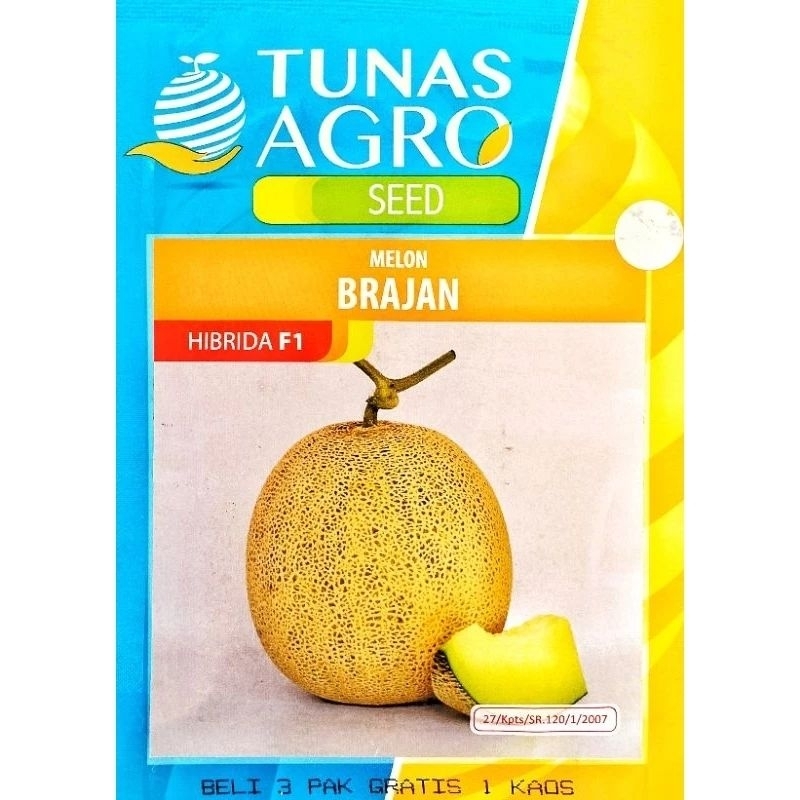 Benih Melon Hybrida F1 BRAJAN cap Tunas Agro