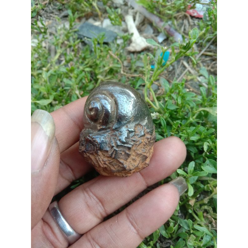 batu keong buntet selonatah