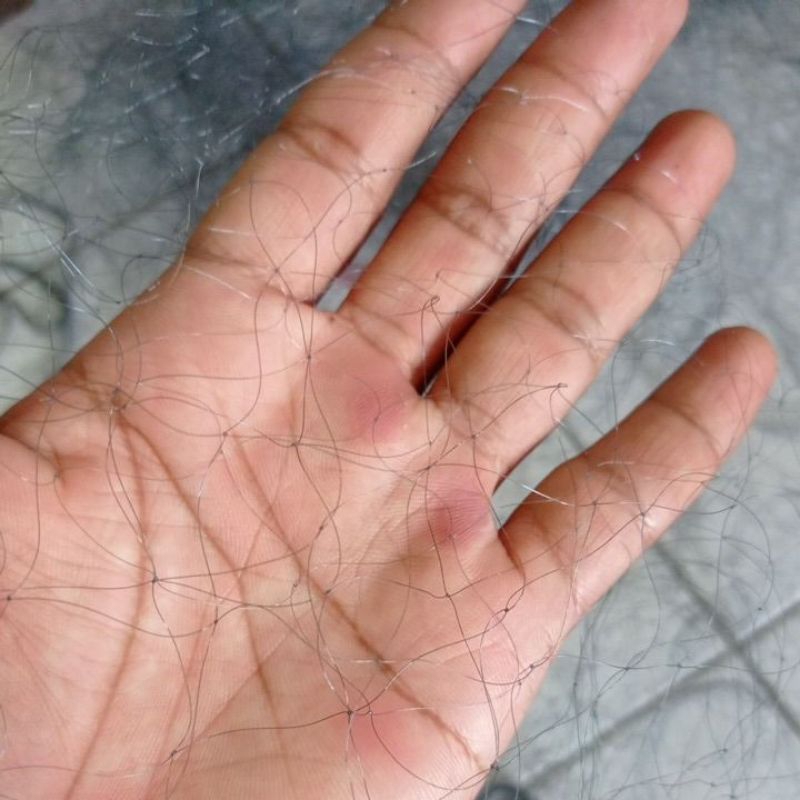 jaring burung hitam TERMURAH jaring burung emprit burung kutilang burung crucuk burung ciblek