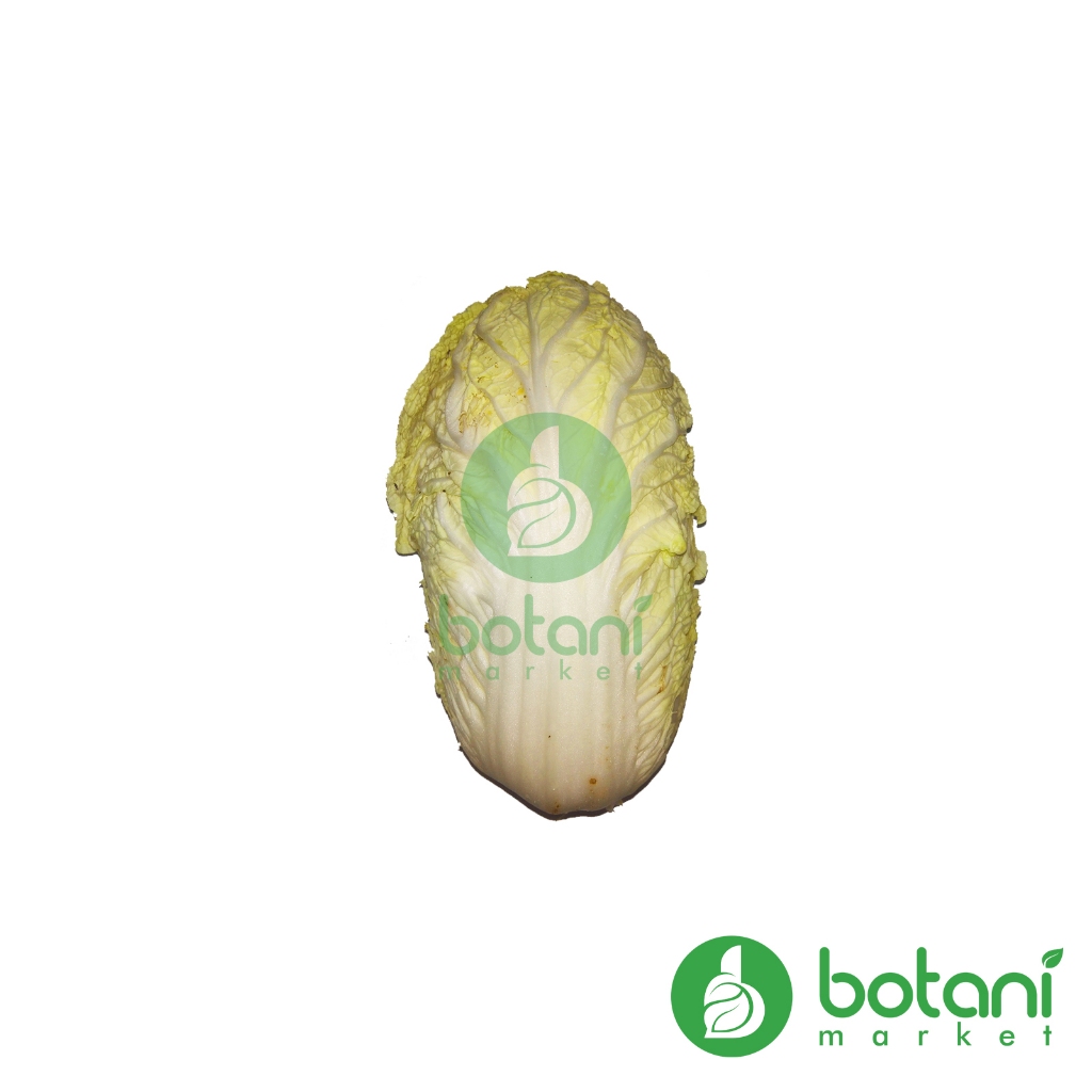 

Sawi Putih / Chinese Cabbage 250 gr - 1 kg [BJB - KALSEL] *INSTANT ALLOWED*