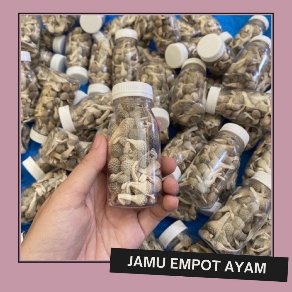 

JAMU EMPOT AYAM / MPOT AYAM PUTIH ORI