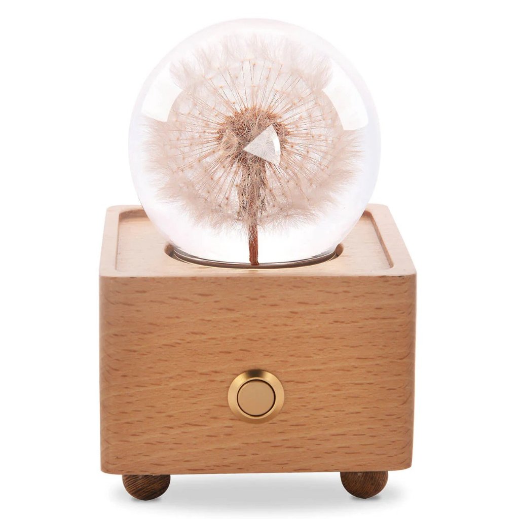 Preserved Flower Bluetooth Speaker - The Beginning Indonesia - Kado Pacar Sahabat Pasangan Cewek Cewe - Untuk Ulang Tahun Anniversary