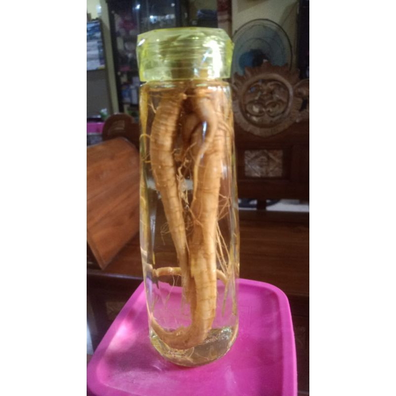 

Gingsengmerahkoreaplusbotol