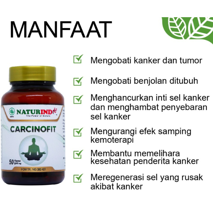 Obat Kangker Payudara Kangker Usus Kangker Paru Paru Kangker Hati Carsinofit Naturindo