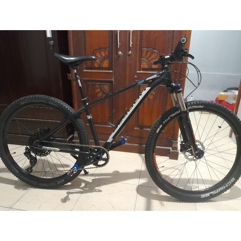 polygon xtrada 6 2020