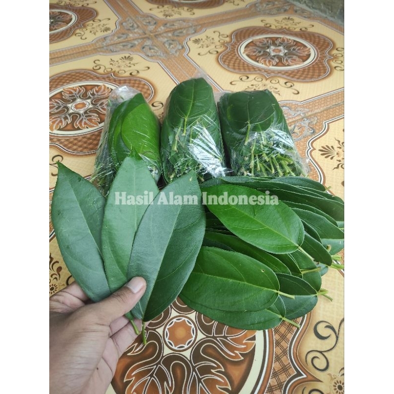 

Daun cincau hutan organik paket hemat 150 gram