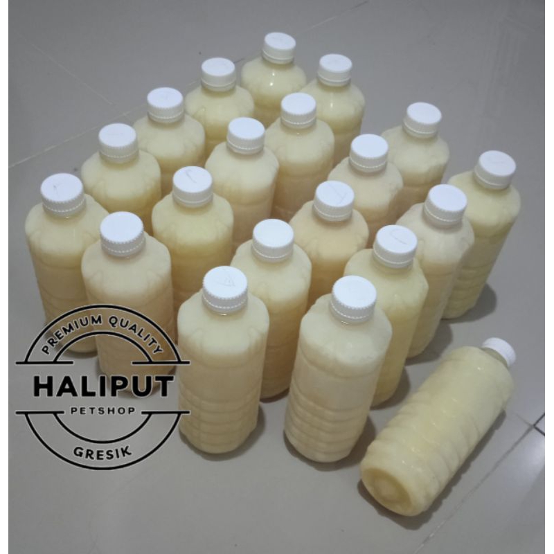 

Susu Kambing Etawa
