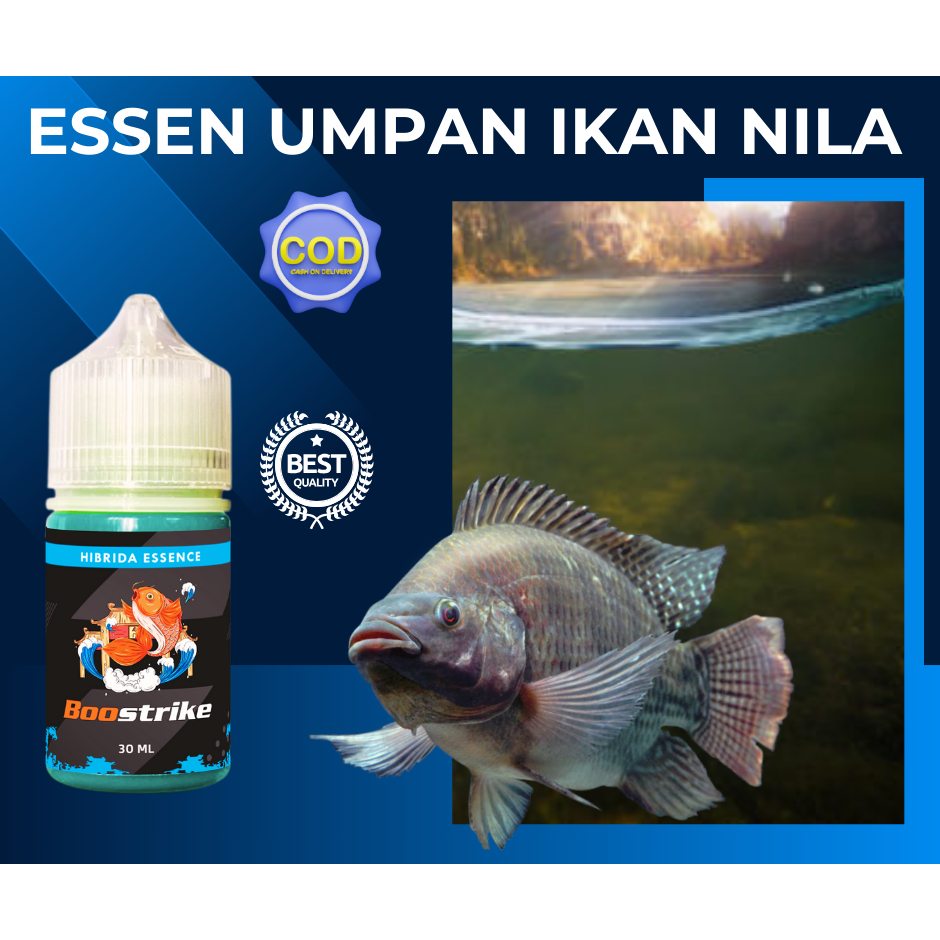 Essen Ikan Nila Paling Ampuh Umpan Mancing Ikan Nila Gacor Essen Ikan Nila Media Lumut Putihan Media