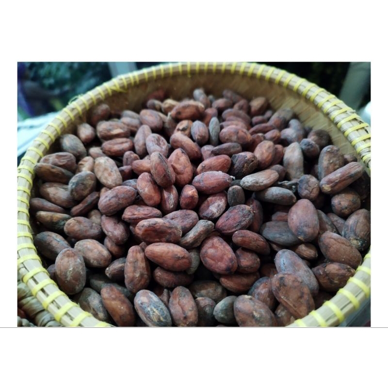 

Cocoa Bean Roasted 1kg