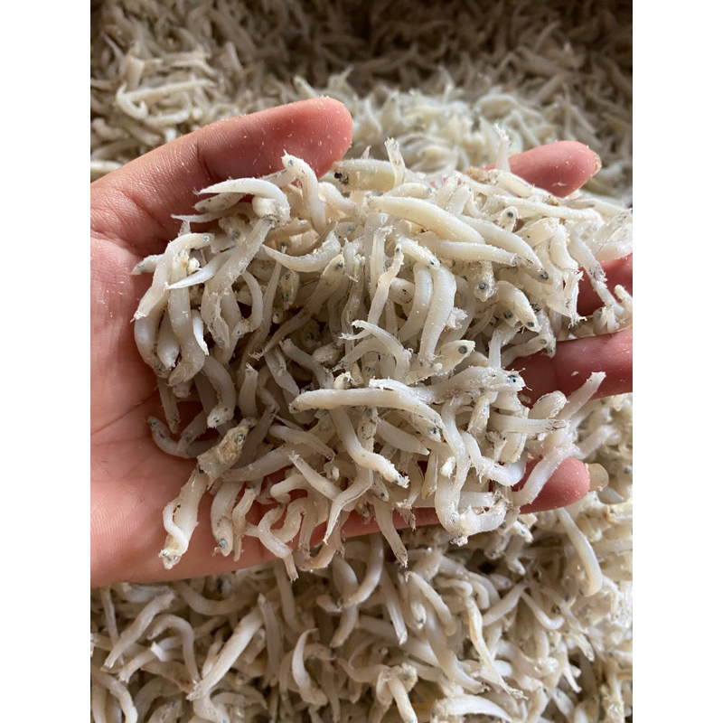 

ikanasin teri nasi