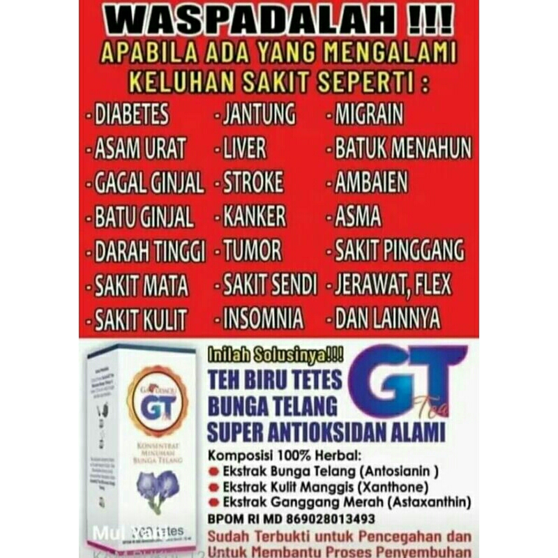 GT telang | nutrisi alami