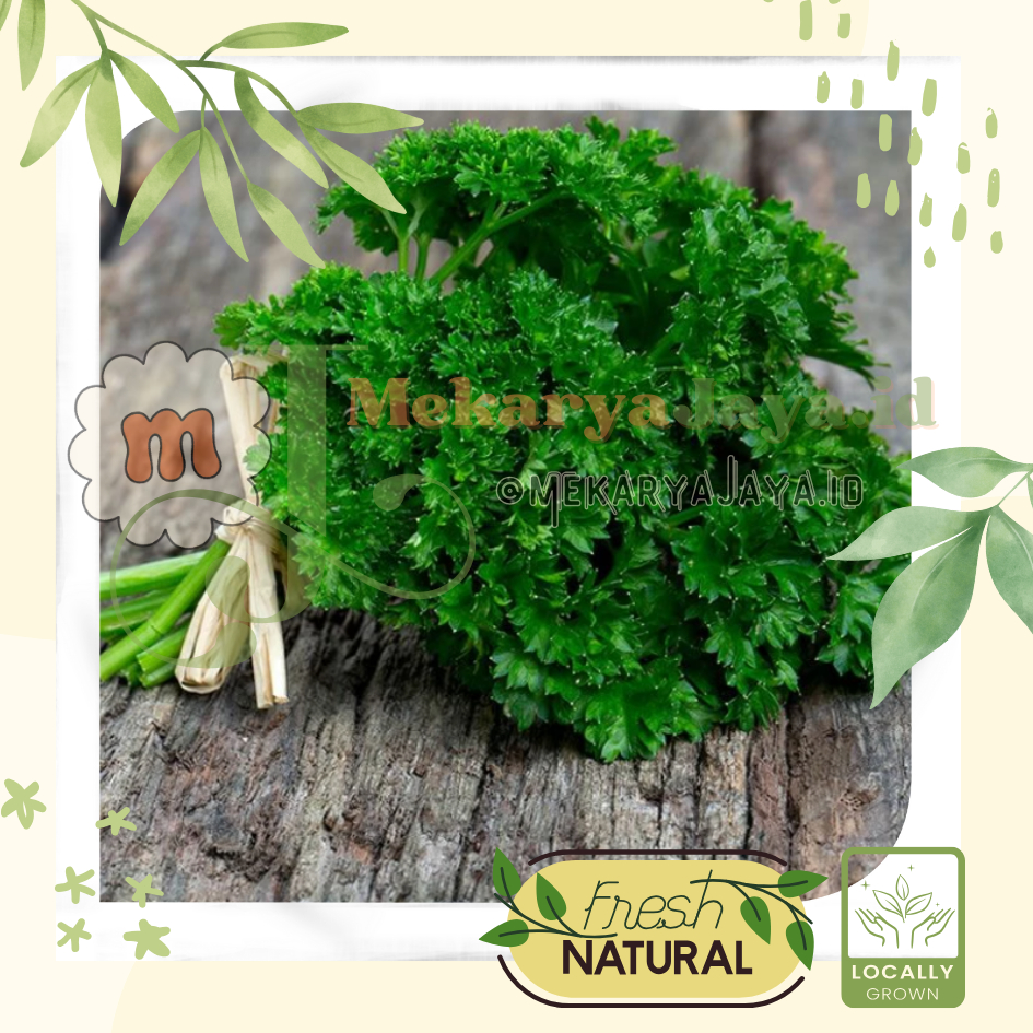 

[MJ-Fresh] - Daun Parsley / Daun Peterseli