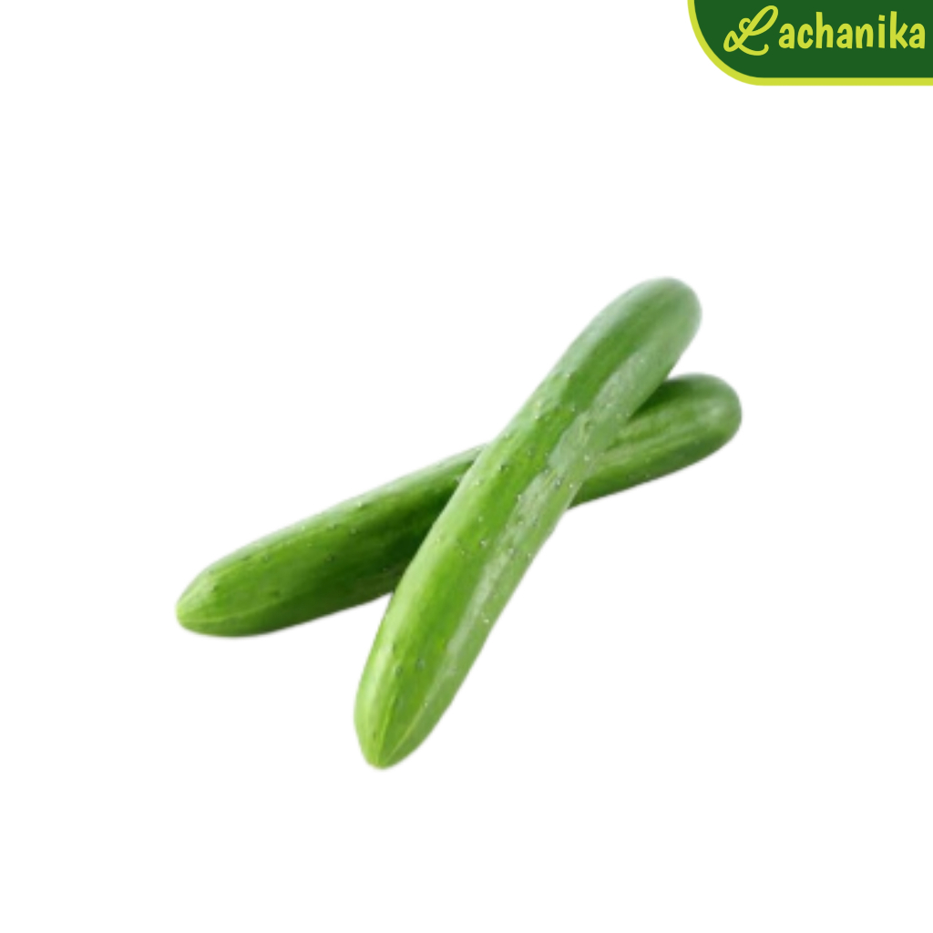 

Timun Jepang / Kyuri Fresh