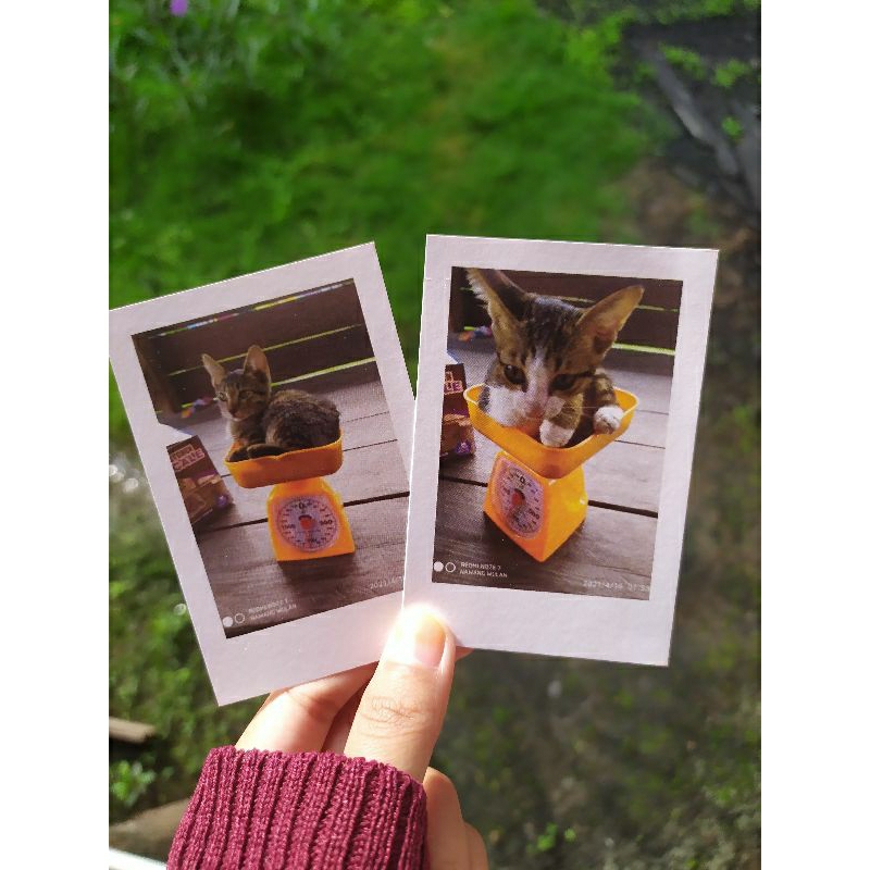 Jasa Cetak Foto Polaroid 2R,3R,4R/Terlaris