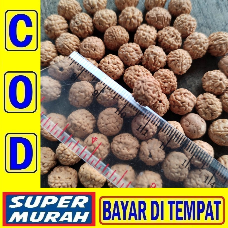 500GR BIJI JENITRI GRADE A MOTIF Untuk Kerajinan Setengah Kilo Rudraksha Genitri Jenitri Alami Banya