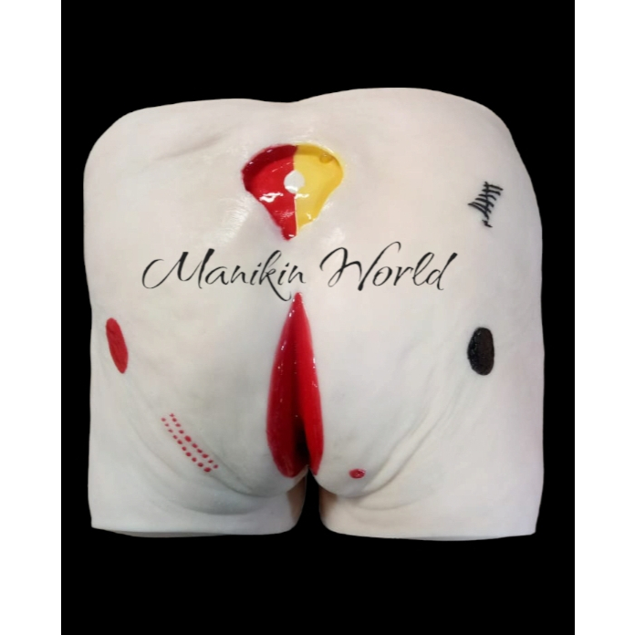 MANIKIN BOKONG DECUBITUS/MODEL ULKUS DEKUBITUS/PHANTOM LUKA ULKUS DECUBITUS