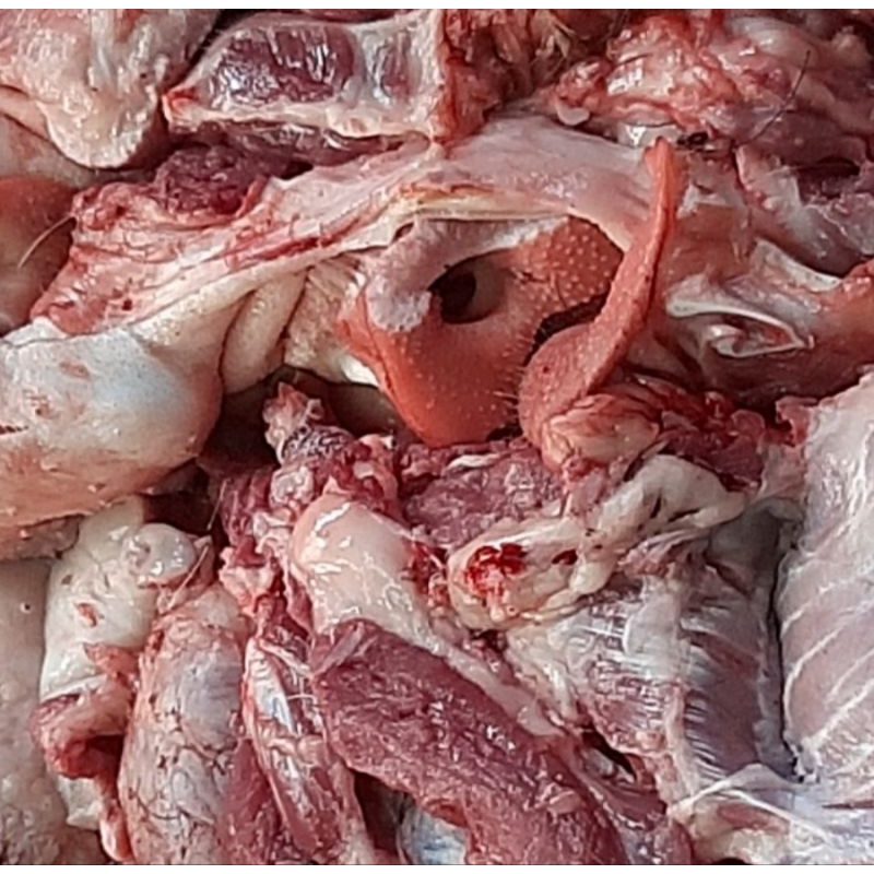 

daging Babi pipi tanpa kulit