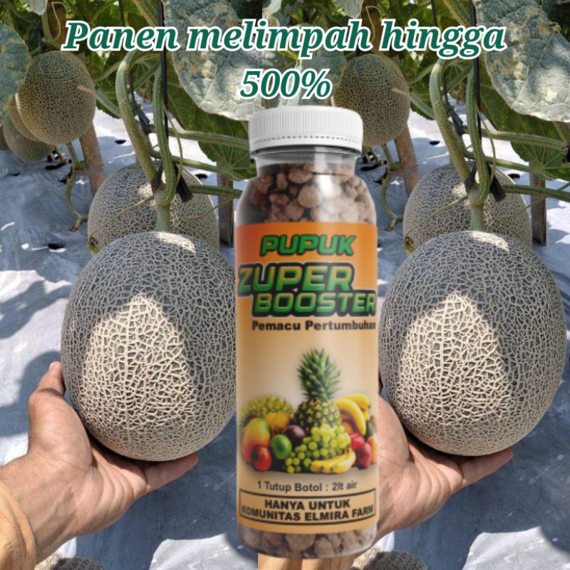 10 botol pupuk organik zuper booster mempercepat pertumbuhan dan pembuahan