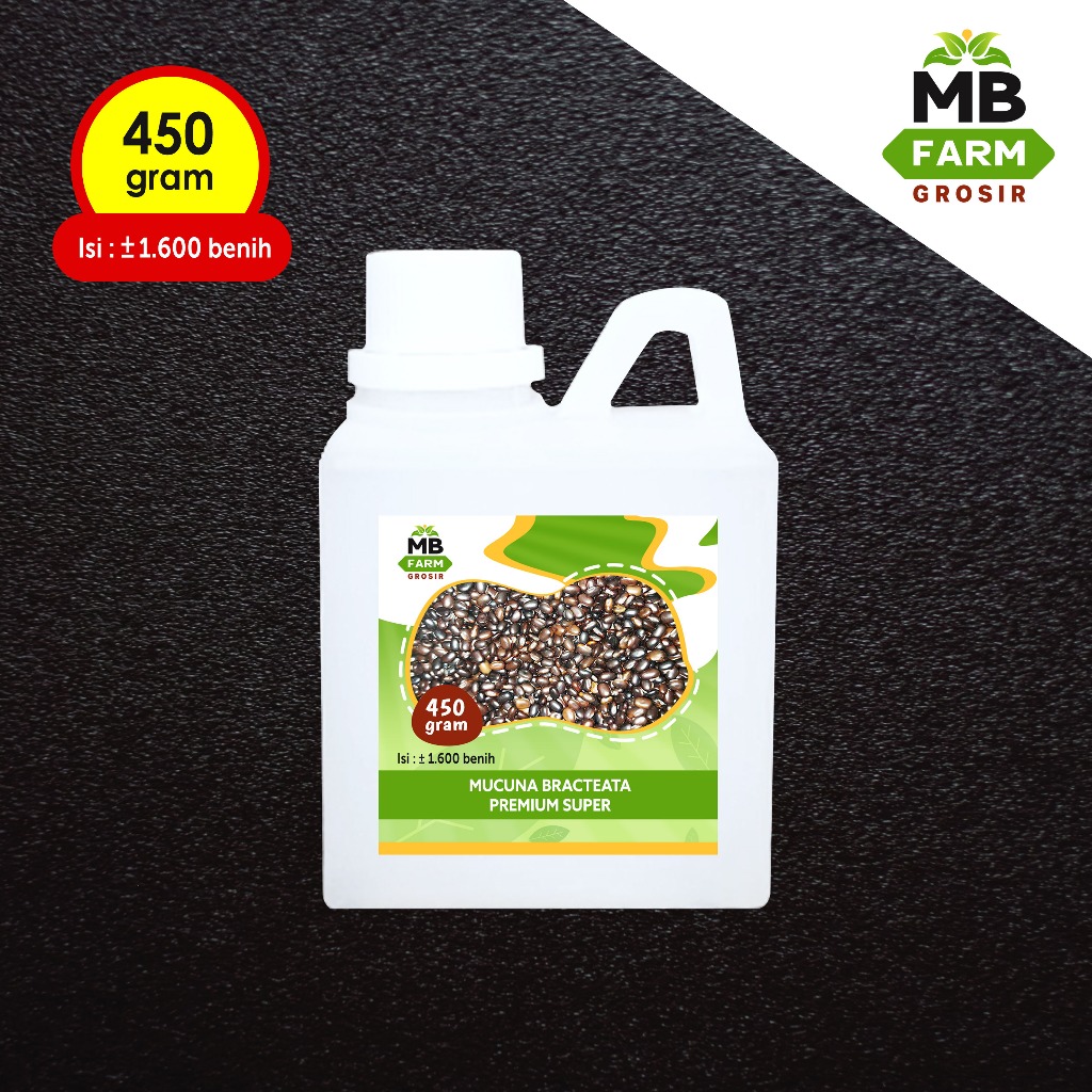 Benih kacang kacangan MB 1600 Biji benih mucuna bracteata super premium bibit benih mucuna
