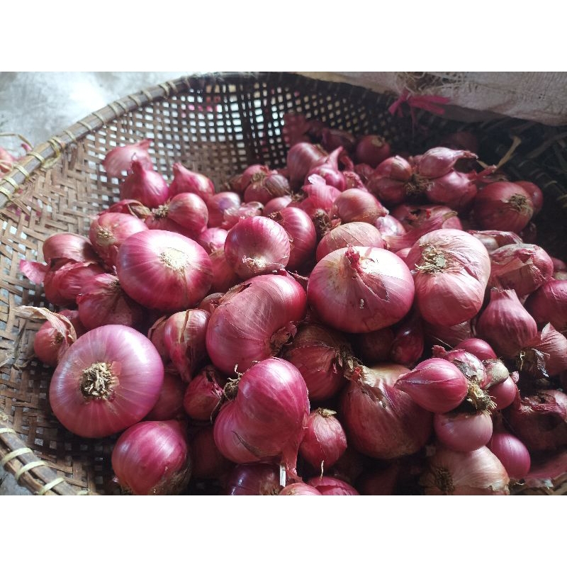 

Bawang merah