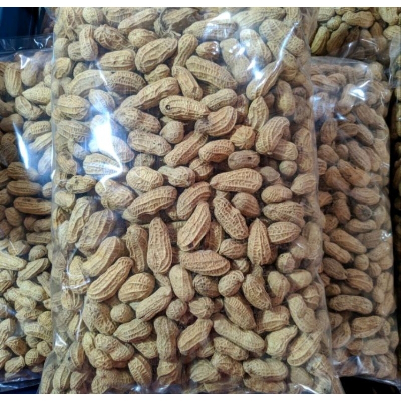 

KACANG GORENG SHANGRAI/BENDO 1000gr