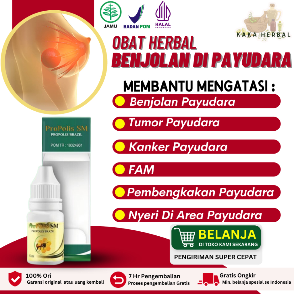 Obat Benjolan Payudara Tumor Payudara Kanker Payudara Pria Dan Wanita FAM Herbal PROPOLIS SM BRAZIL