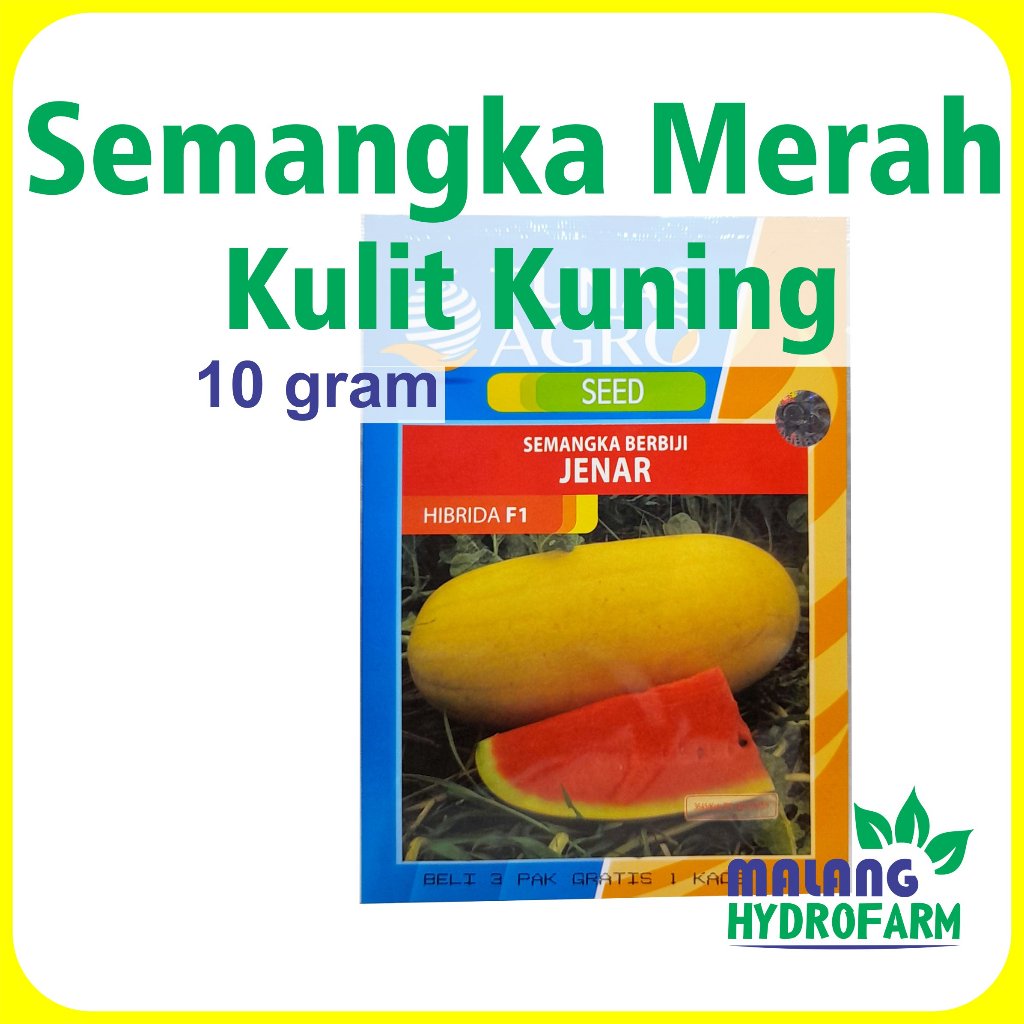 Benih Semangka Merah Kulit Kuning Jenar 10 gram Tunas Agro bibit biji buah unik lonjong hydroponik h