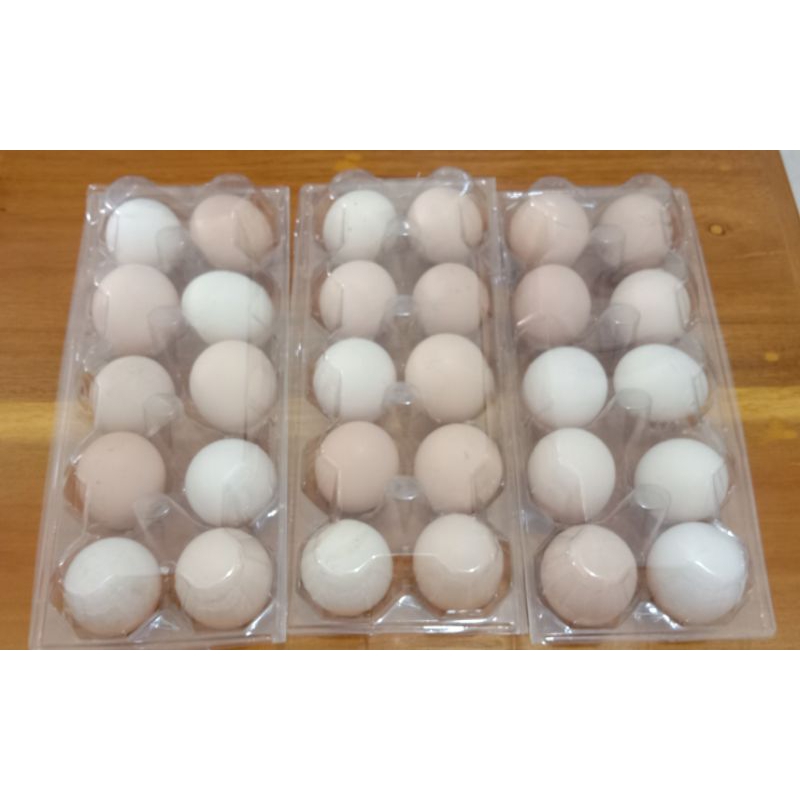 

Telur kampung organik
