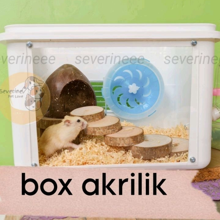 Kandang Hamster akrilik Kotak | box eskrim modif akrilik wood series | kandang hamster travel | box 