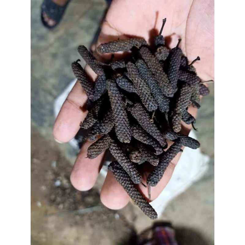 

CABE JAMU KUALITAS EXPORT [PREMIUM] 1KG JAVA LONG PEPPER