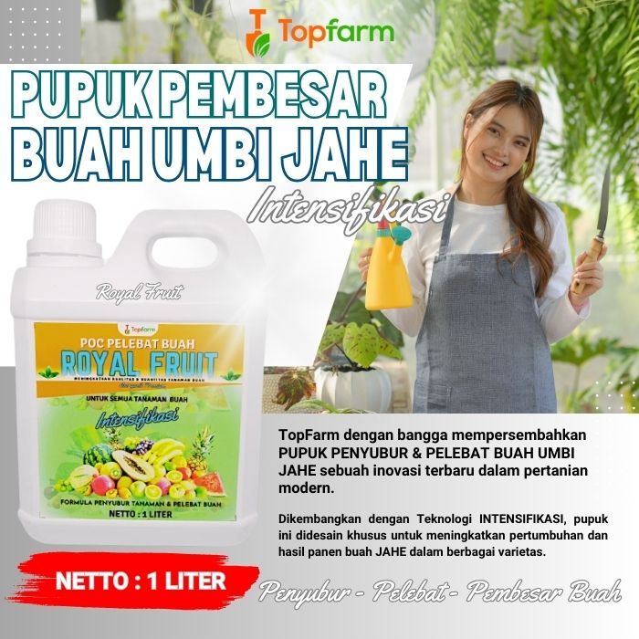 Pupuk Pembesar Umbi Jahe / Pupuk Boster Umbi Jahe / Pupuk Khusus Tanaman Jahe / Pupuk Pembesar Umbi 