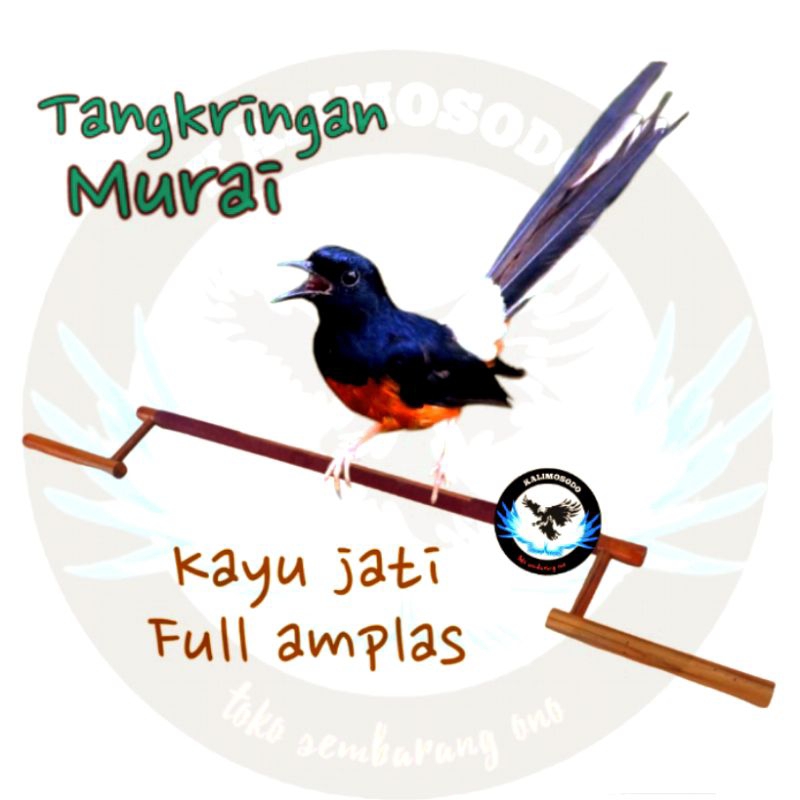 Tangkringan gawang burung murai kayu jati full amplas