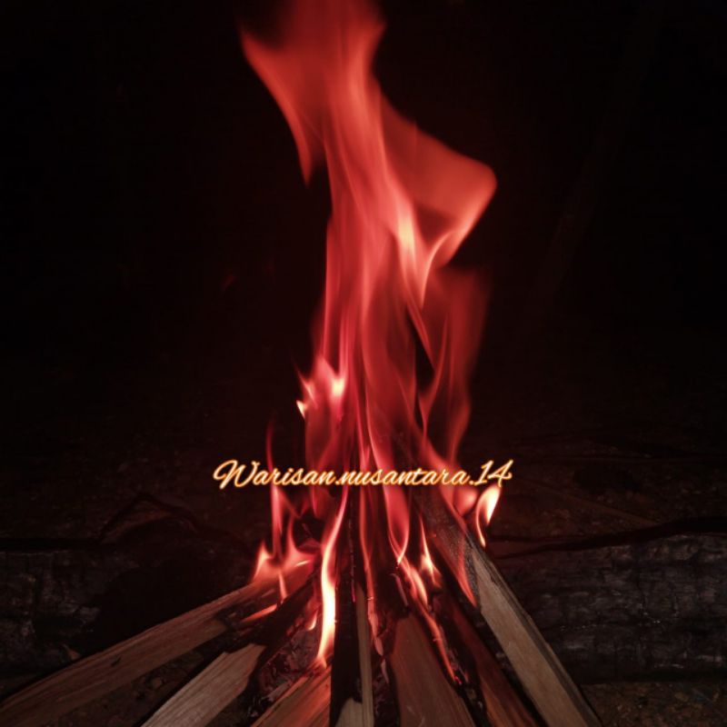 

Kayu bakar albasia 15cm/30cmkering per 1kg