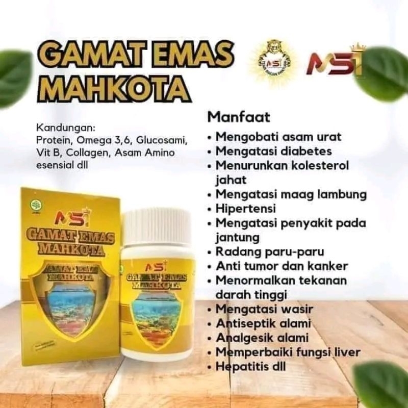 gamat emas mahkota