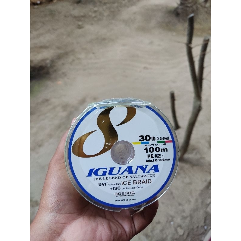 PE 2 Bossna Iguana Ice Braid 600Meter