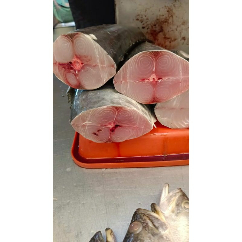 

Ikan tenggiri potong segar 1kg