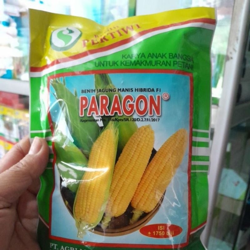 

jagunng manis paragon
