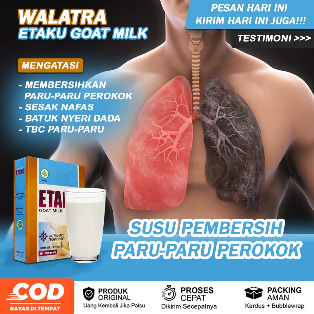 

Obat Pembersih Paru-Paru Perokok Nyeri Dada Gangguan Paru-paru Pembersih Paru-paru Kotor Sesak Nafas Asma Batuk Pneumonia - Etaku Goat Milk