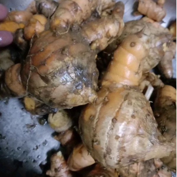 

Temulawak segar isi 1 kg/ koneng gede fresh obat herbal