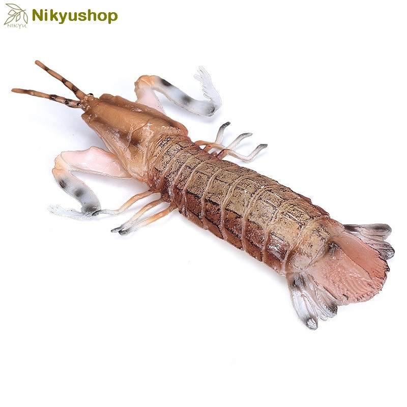 [Nikyushop] Mainan Edukasi Pajangan Hewan Udang Mantis Shrimp Squilla
