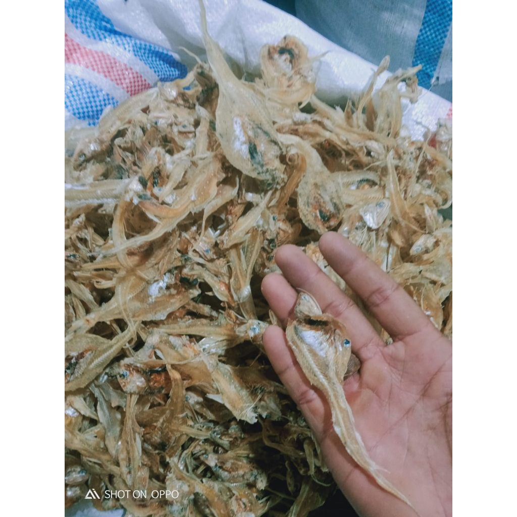 

Ikan Asin Bulu Ayam Tawar 100gr Rasakan Gurihnya Tradisi