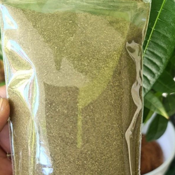 

JAMU MURAH BUBUK DAUN BELUNTAS KERING / BARUNTAS- 1 KG