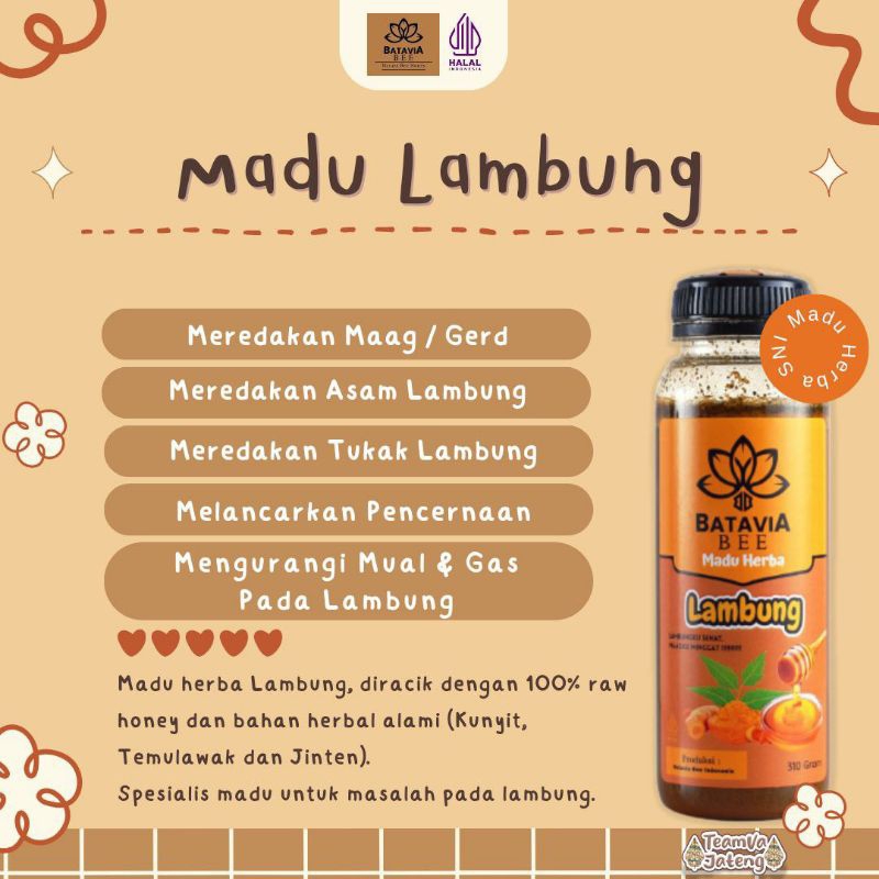 

MADU LAMBUNG BATAVIA BEE