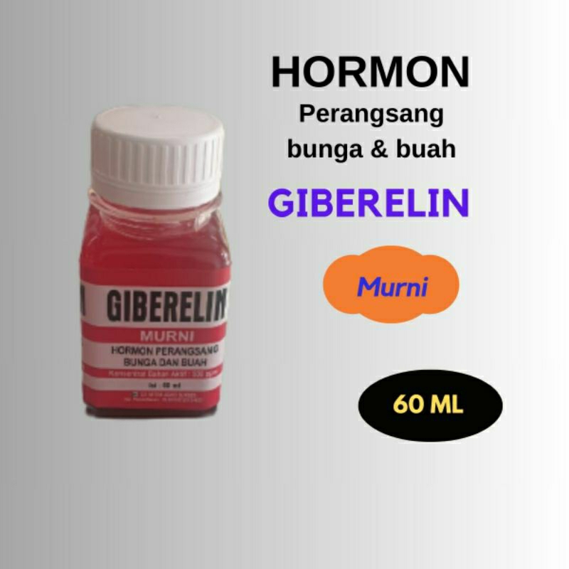 Hormon Giberelin atau GA3 mempercepat bunga dan buah zpt giberelin murni