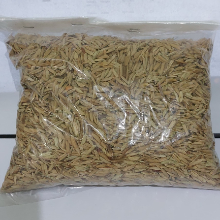 ( 5 Kg ) Gabah Merah pakan Ayam Bangkok hewan ternak unggas