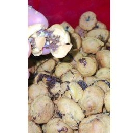 

SOES KERING COKELAT LUMER PREMIUM