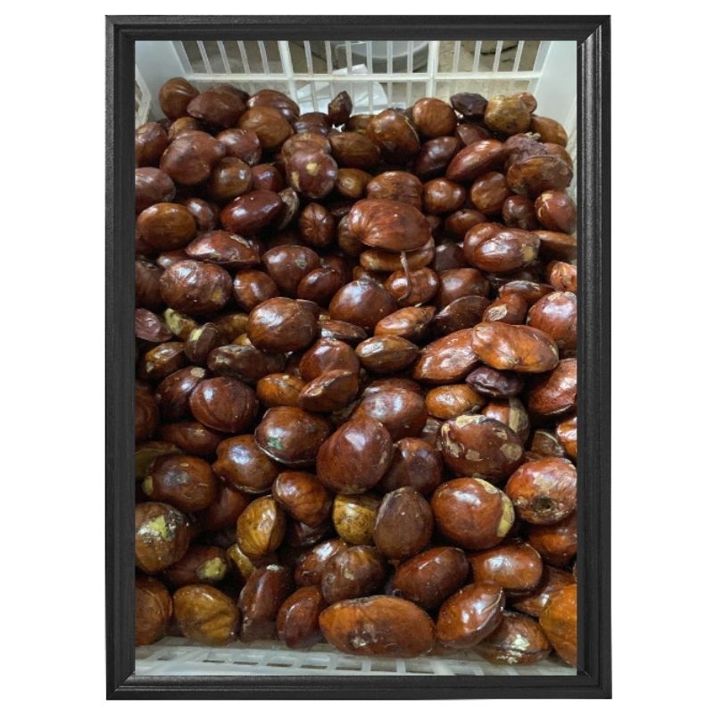 

JENGKOL LOKAL WONOGIRI KEMASAN 1 KG