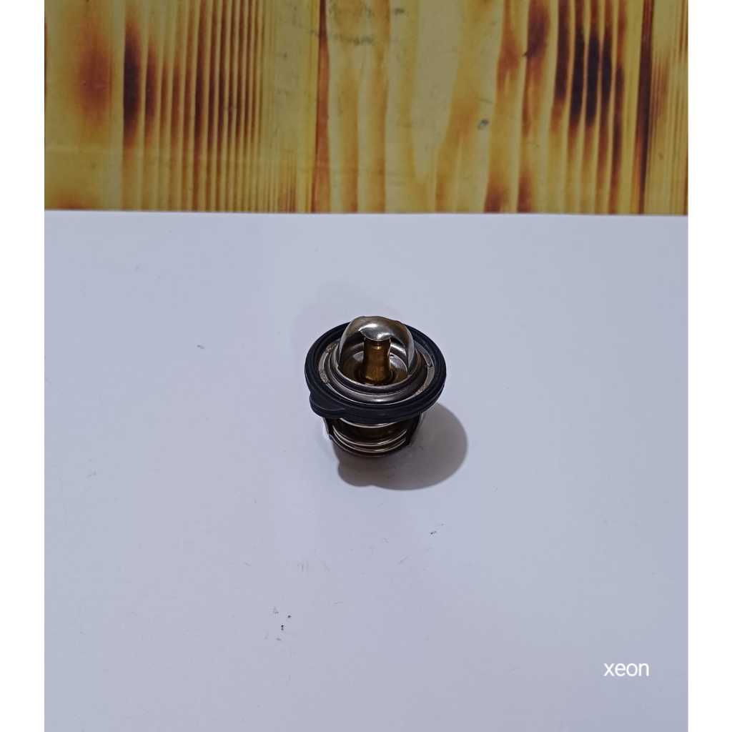 TERMOSTAT XEON THERMOSTAT XEON KARBU